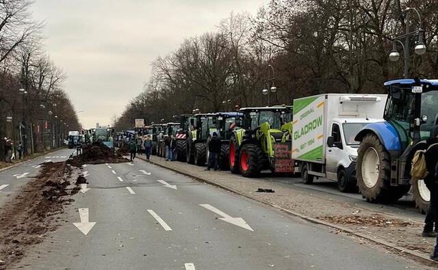 Ein Misthaufen landete mitten auf der Straße | Foto: Marvin Bülau