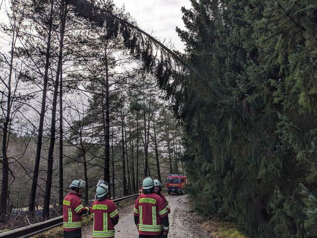 Bei Marxen drohte ein Baum umzustürzen | Foto: Pressestelle Feuerwehr Samtgemeinde Hanstedt