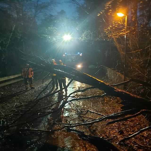Foto: Pressestelle FF Seevetal