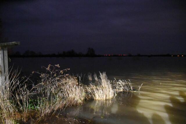 Foto: Matthias Wille