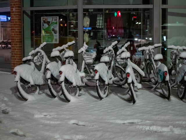 Foto: (c) Robert Gitler