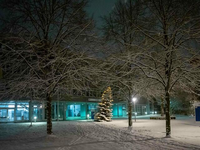 Foto: (c) Robert Gitler