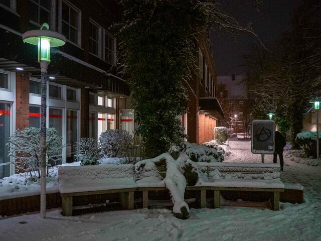 Foto: (c) Robert Gitler