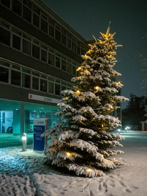 Foto: (c) Robert Gitler