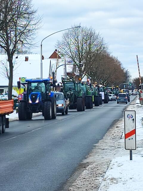 Treckerkonvoi in Winsen  | Foto: thl 