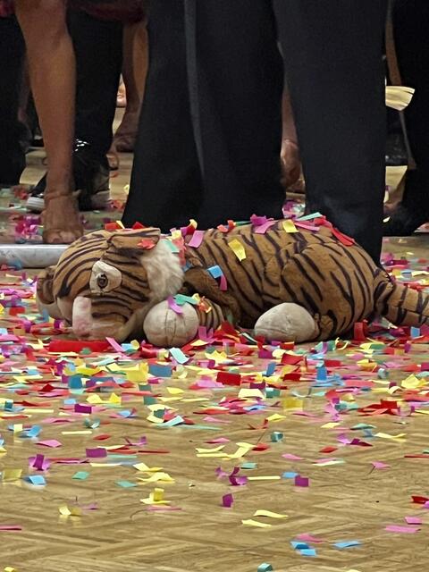 Impressionen Latein-Tanzturnier in Buchholz 2024