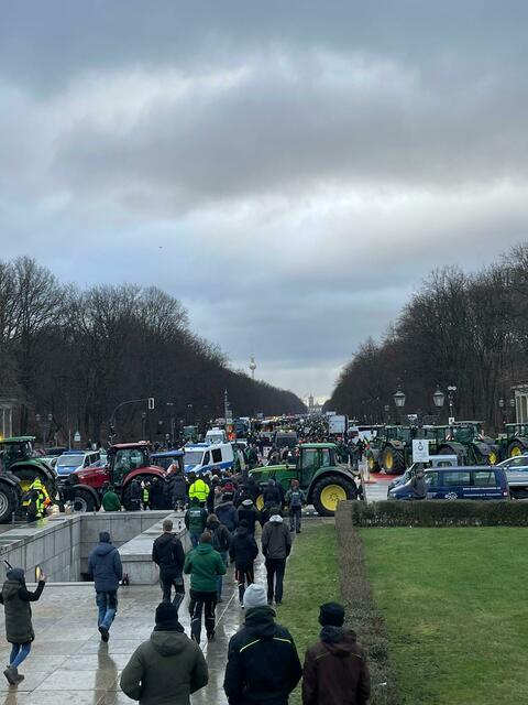 Fußmarsch auf der Straße des 17. Juni zum Brandenburger Tor | Foto: M.B.