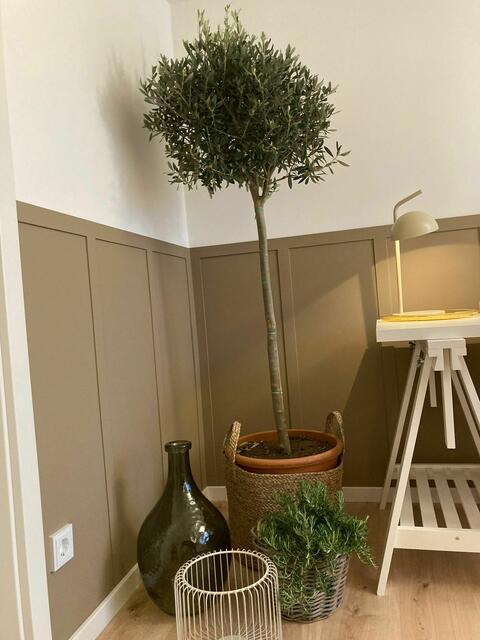 Nachher-Bild | Foto: Sarah Radau