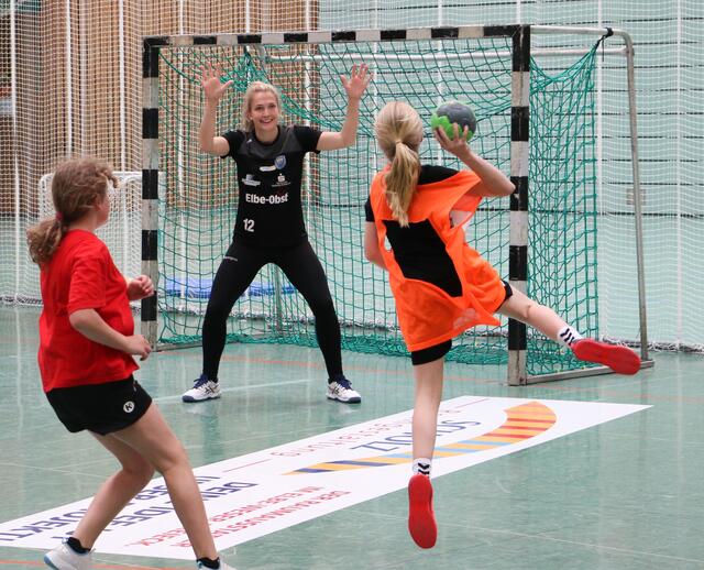 Handballtraining | Foto: BSV