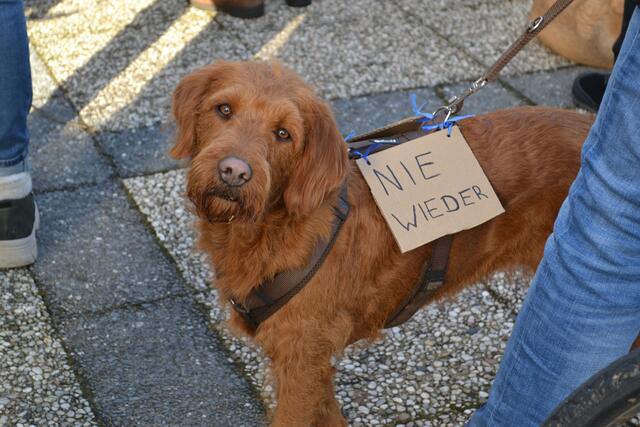 Auch Hündin Tonka nahm am Holocaust-Gedenktag teil