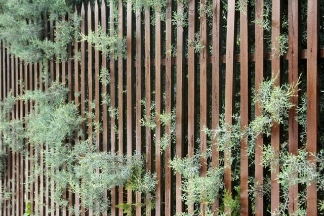 Foto: wood-fence