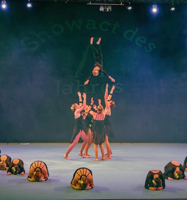 Auch Würfe haben die "Young Diamonds" vorgeführt | Foto: Showact des Jahres