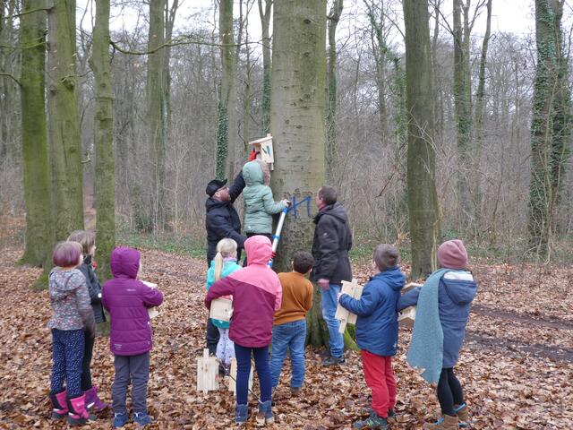 Nistkasten OGS Neukloster | Foto: Hansestadt Buxtehude