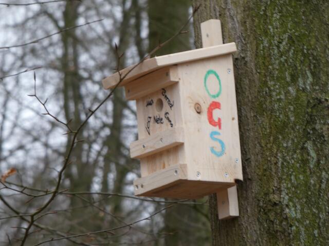 Nistkasten der OGS Neukloster | Foto: Hansestadt Buxtehude