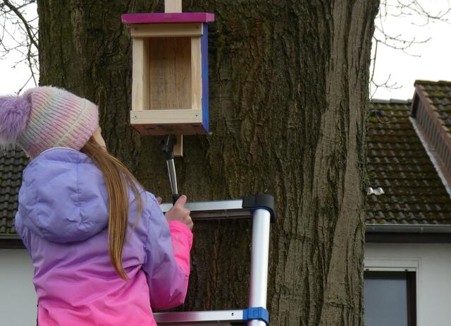 Nistkasten offenen Ganztagsschule (OGS) Stieglitzweg | Foto: Hansestadt Buxtehude