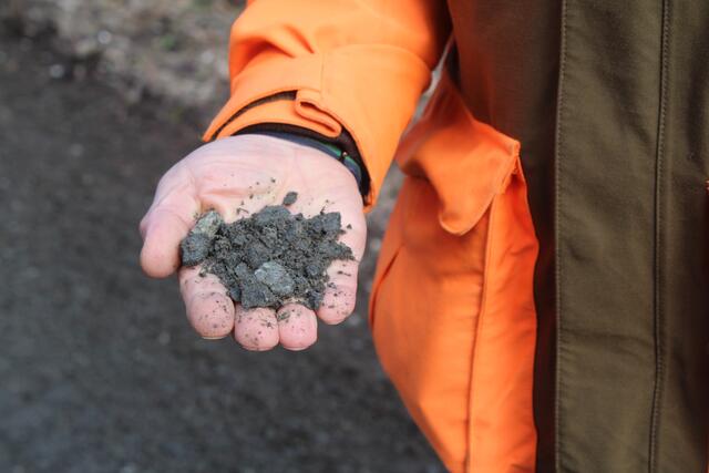 Sacha Baustian, Leiter des Buchholzer Kommunalbetriebs zeigt die Zusammensetzung des zertifizierten Bodenmaterials | Foto: pm