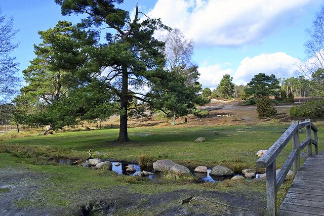 Das Büsenbachtal ist bisher Landschaftsschutzgebiet und soll nun zum Naturschutzgebiet ausgewiesen werden | Foto: bim