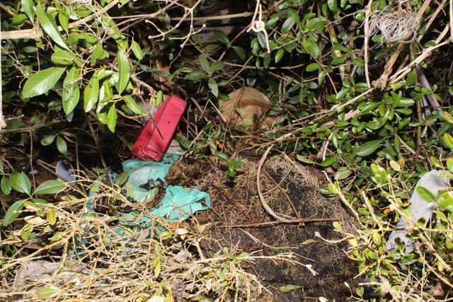 Unrat im Gebüsch bei den Parkplätzen | Foto: pm
