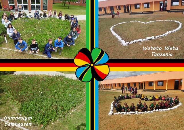 Starkes Zeichen der Verbundenheit: In Salzhausen und Tansania legten Schüler bzw. Waisenkinder blühende Herzen an und formierten sich darum | Foto: Silke Rauscher