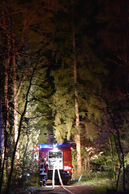 Ein Übergreifen des Feuers auf den nahen Kiefernwald konnte verhindert werden | Foto: Mathias Wille