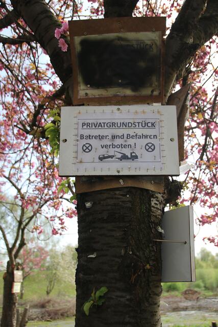 In die Stämme sind unzählige Schrauben und Nägel getrieben | Foto: jd