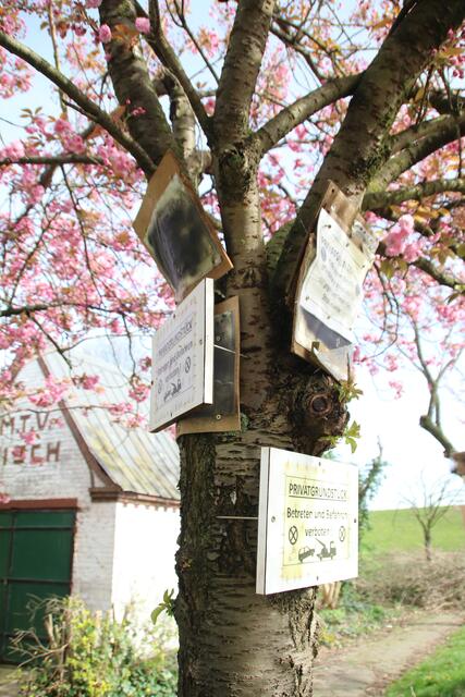 Wozu eigentlich die vielen Schilder? Hätte nicht eines gereicht? | Foto: jd