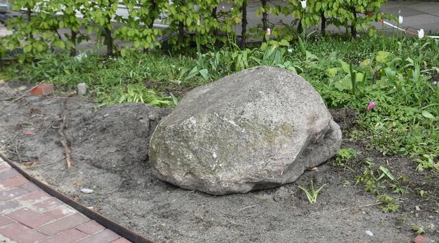 Jeder findet seinen Platz | Foto: Axel-Holger Haase