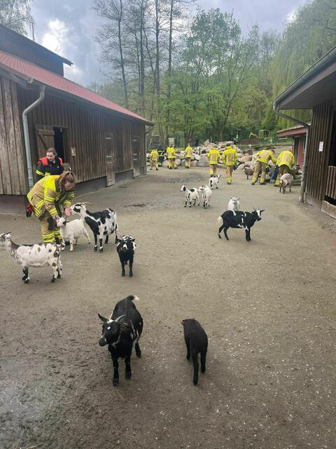 Zu Besuch im Zoo in der Wingst. | Foto: Feuerwehr Wiepenkathen