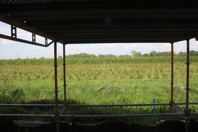 Blick auf die Obstplantagen