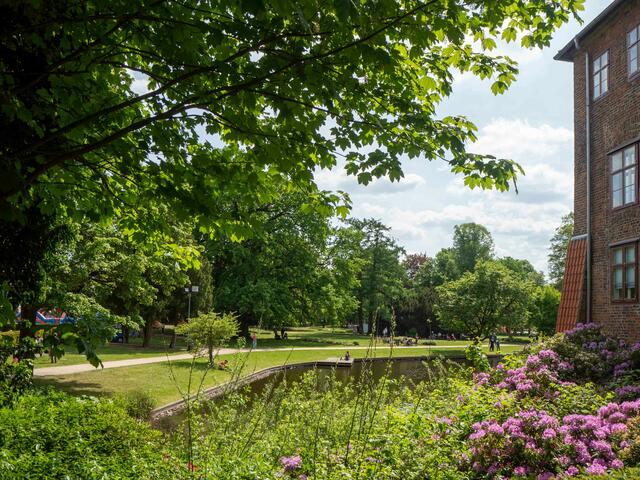 Foto: (c) Robert Gitler