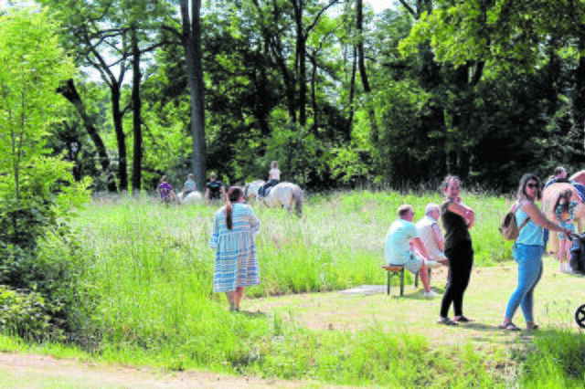 Ponyreiten auf dem Dorffest | Foto: sb