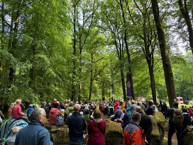 Rund 500 Besucher kamen zum Pfingstgottesdienst am Hünengrab im Klecker Wald | Foto: Ernst Ulrich Soja