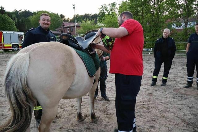 Yannik und Christian versuchen, satteln Fjordpferd Biene | Foto: Kerstin Kohlmus