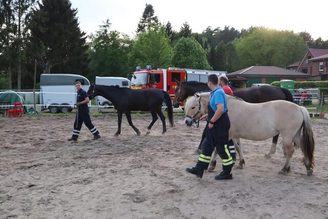 Drei Feuerwehrleute, drei Pferde: Nils mit Domingo, Christian mit Damigella (hinten) und Daniel mit Biene  | Foto: Kerstin Kohlmus