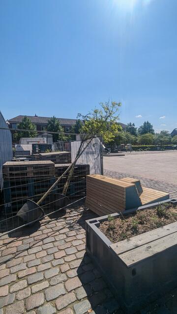 Die Bäume müssen noch eingepflanzt werden. Wie sie jetzt gelagert werden, ist es nicht gerade ideal | Foto: jd