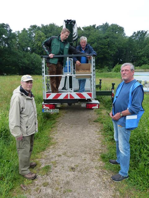 Zur Storchenrettung vor Ort: Hans Steinert (ehemaliger Storchenberater, v. li.), Kim Koppermann, Jürgen Pelch und Jürgen Bozek (Storchenberater Stelle) | Foto: Carsten Weede