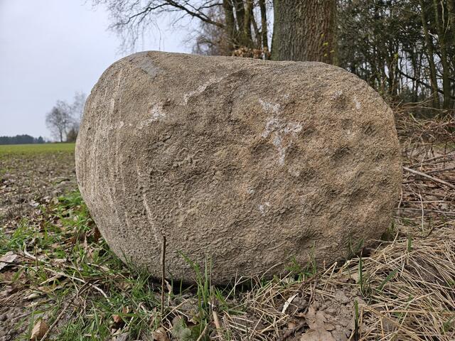 Der Schalenstein an seinem Fundort in der Issendorfer Feldmark | Foto: Landkreis Stade