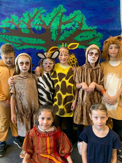 Löwen, Erdmännchen, Zebras und Giraffen Arm in Arm | Foto: Nele Schmidt