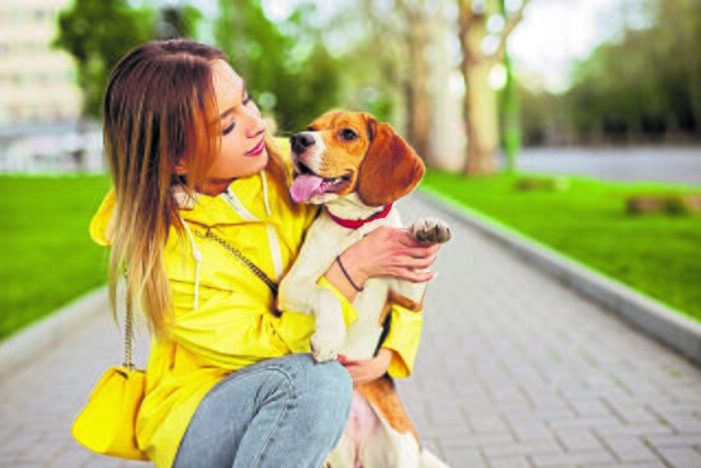 Hundehaltung wird in der Gemeinde Drochtersen teurer | Foto: AdobeStock / kegfire