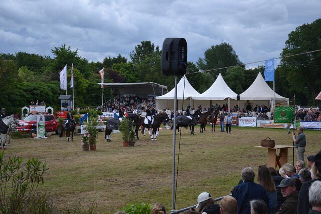 Ehrung der neuen Kreismeister 