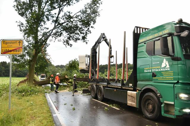 Ein von der Feuerwehr hinzugezogenes Forstunternehmen hob dem einem Ladekran die schweren Äste zur Seite | Foto: Mathias Wille