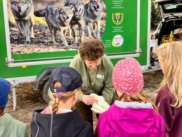 Spielerisch erfahren Kinder, Jugendliche und Erwachsene alles, was sie über den Wolf in Niedersachsen wissen möchten | Foto: Jägerschaft Landkreis Harburg e.V.