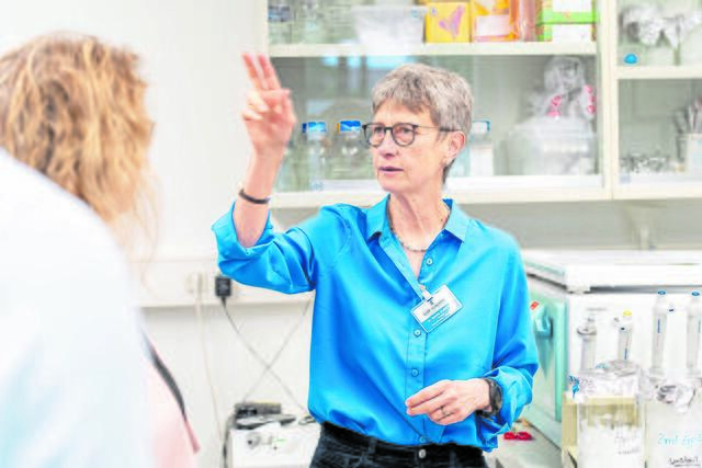 Die Buxtehuder Strahlen- und Zellbiologin Dr. Beate Volkmer leitet seit 29 Jahren gemeinsam mit Dr. Rüdiger Greinert das Labor für Molekulare Zellbiologie am Elbe Klinikum Buxtehude | Foto: Daniel Hajduk / Elbe Kliniken