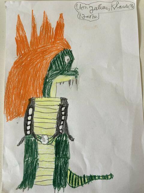 Julius (8 Jahre) aus Otter | Foto: Maria Goitowski