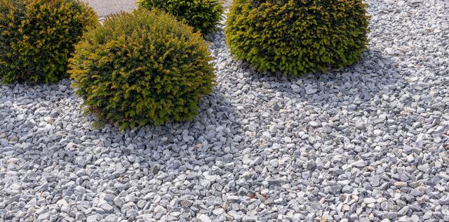 Foto: Adobe Stock/Sonja Birkelbach