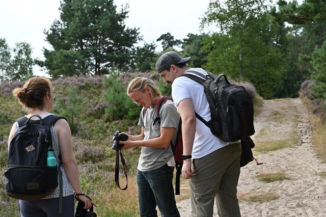 Foto: Naturpark Lüneburger Heide