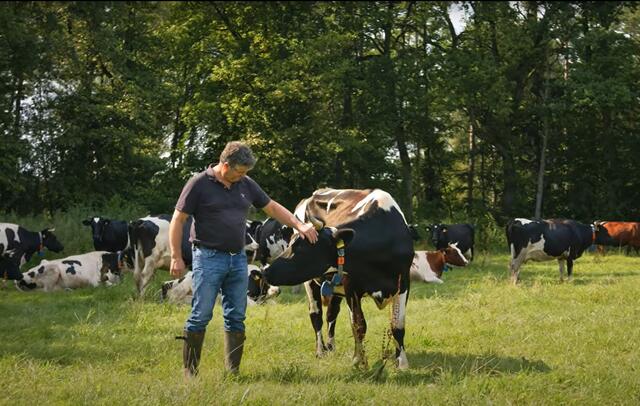 Foto: Naturpark Lüneburger Heide