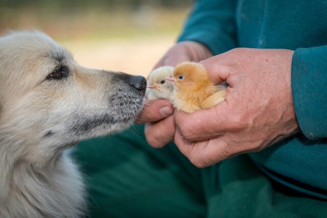 Foto: Schierenbeck / Gleis 11