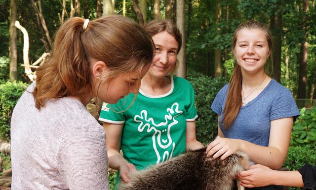 Felle fühlen im Wildpark Schwarze Berge 2 (1 von 1)-2 | Foto: Wildpark Schwarze Berge