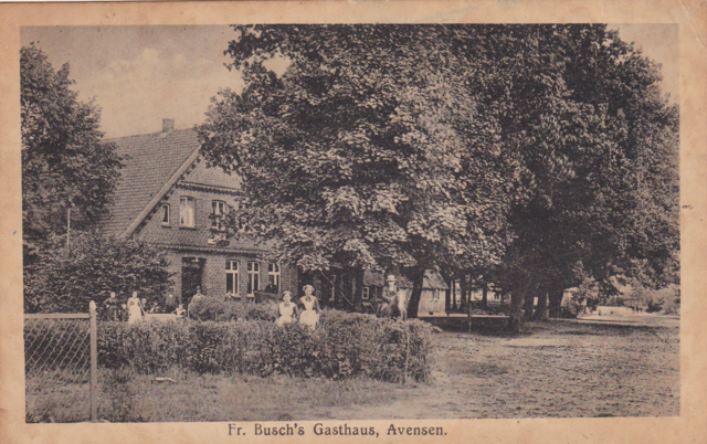 Avensen Nr.15 ca.1914
